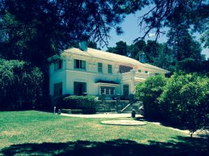 Leura Gardens, Leura NSW